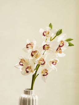 Pure Home + Living - White Faux Boat Orchid Spray