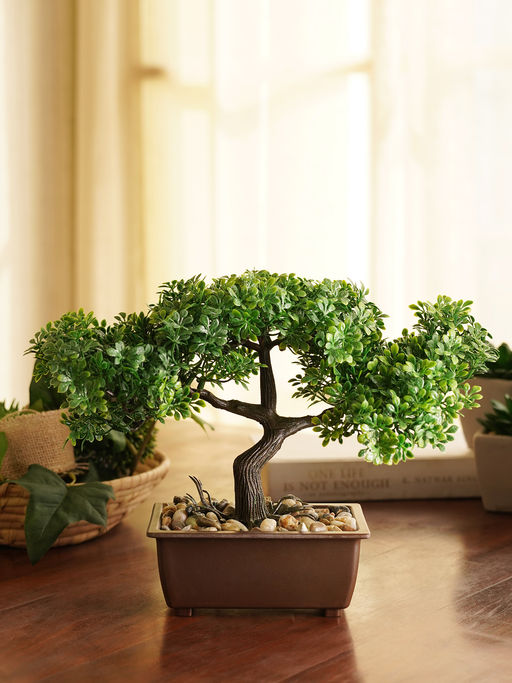 Buy Green Faux Bonsai with Cement Pot Online