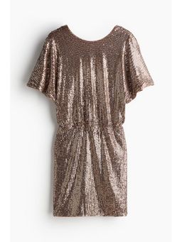 H&M - Women Brown Sequined Deep-Back Dress