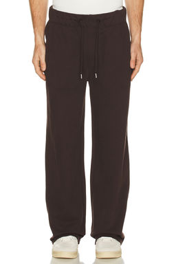 ALLSAINTS - Asher Sweatpant