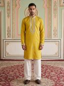 Mustard color option, Currently selected
