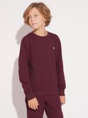 Maroon color option