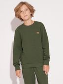 Green color option, Currently selected