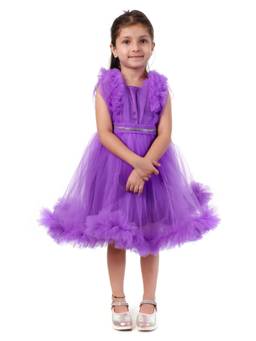 Huggle Boo - Girls Purple Rosette Net Flared Party Dress with Shimmer Waist