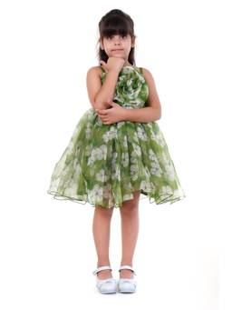 Huggle Boo - Girls Green Floral Print Organza A-Line Party Dress