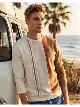 Louis Philippe - Men Multi-Color Colorblock Cotton Blend Sweatshirt