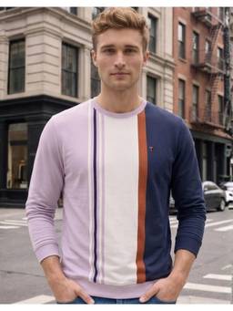 Louis Philippe - Men Multi-Color Colorblock Cotton Blend Sweatshirt