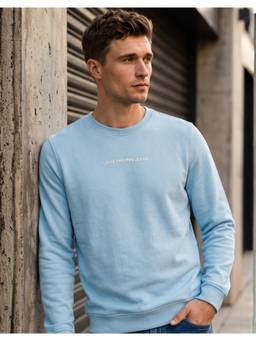 Louis Philippe - Men Casual Light Blue Solid Sweatshirt