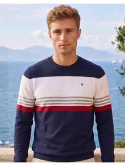 Louis Philippe - Men Casual Navy Stripes Sweatshirt