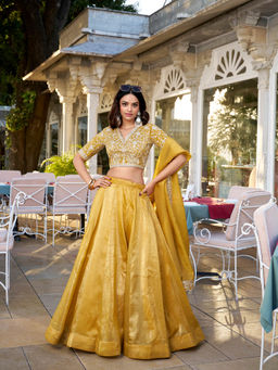 LooknBook Art - Mustard Sequins Embroidery Lehenga with Unstitched Choli and Dupatta (Set of 3)