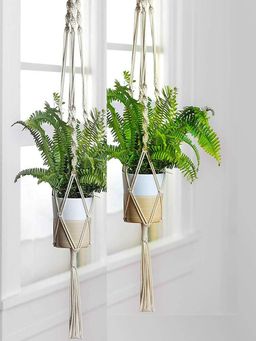 Ecofynd - Twisted Macrame Plant Hanger (Set Of 2)