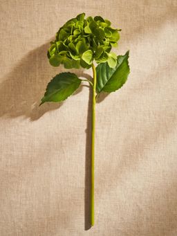 Pure Home + Living - Green Hydrangea Faux Flower Stem - Single