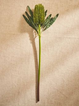Pure Home + Living - Green Protea Faux Flower Stem - Single