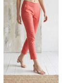 Coral color option, Currently selected