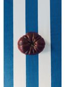 Blue color option, Currently selected