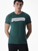 Teal color option, Currently selected