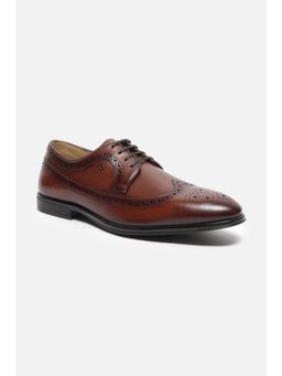 Van Heusen - Brown Men Pointed Toe Borgues