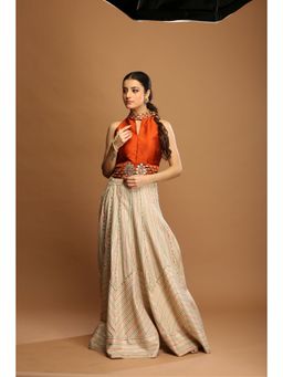 Payal Dawar - Brown Grace Empowered Top with Skirt (Set of 2)