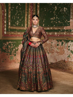 Safaa - The Dilkash Nazara Woven Lehenga Set