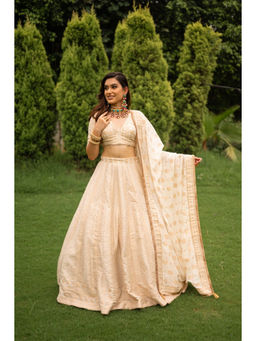 Safaa - The Parisa Chikankari Lehenga Set