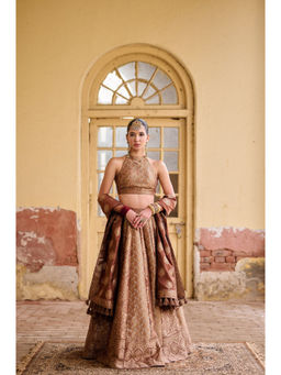 Safaa - The Shabnami Brown Zari Lehenga Set