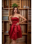 Maroon color option, Currently selected