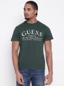 Olive color option, Currently selected