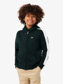 Green color option, Currently selected