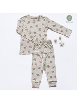 Cocoon Care - Bamboo Muslin Full Sleeve T-Shirt Joggers Set For Babies (Set of 2)