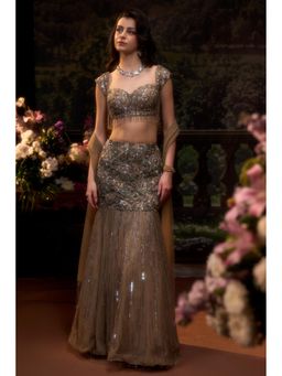 Muskan Aggarwal - Zarreen Embellished Brown Stitched Blouse with Lehenga and Dupatta