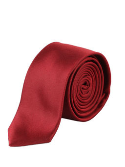 Alvaro Castagnino - Mens 100 Percent W.Silk Necktie