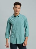 Green color option, Currently selected