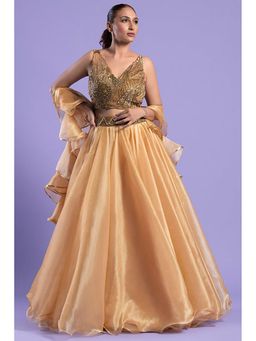 "Two Sisters" by Gyans - Gold Organza Embroidered Sleeveless Lehenga With Blouse And Dupatta