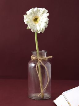 Tayhaa - Crystal Clear Glass Vase