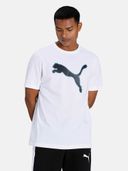 White color option, Sold out