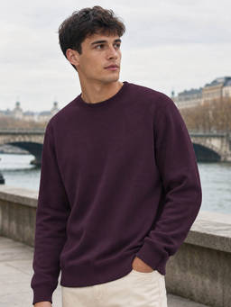 Nobero - Men Purple Solid/Plain Cotton Fleece Sweatshirt