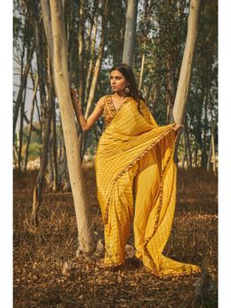 Baise Gaba - Santolina Crepe Saree With Unstitched Blouse