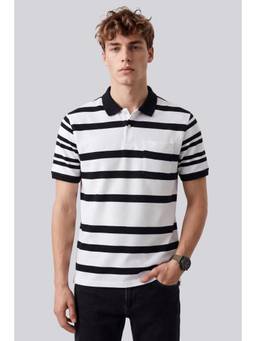 Peter England - Men Multi-Color Striped Collar Neck Polo T-Shirt