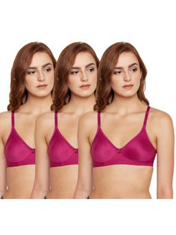 Bodycare - Pack of 3 Seamless Cup Bra In Dark Rani Colour