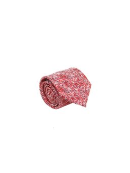 CAZZANO - Men Multi-Color Paisley Tie
