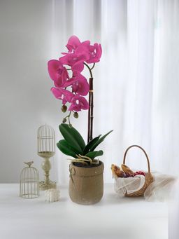 Ekhasa - Orchid Flower Vase Pot with Artificial Flowers (Dark Pink) (6 Inches)
