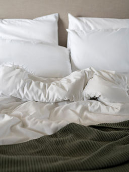 Kansso - White 600 Tc Cotton Flat Bedsheet with Pillow Cover