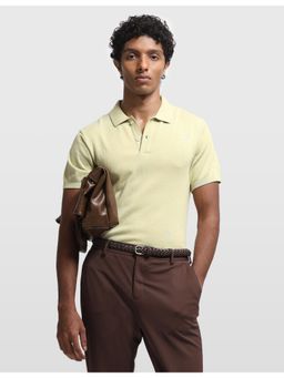 Arrow Sports - Green Men's Solid Regular Fit Polo T-shirt