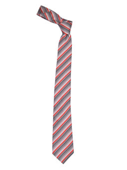 Alvaro Castagnino - Mens Necktie