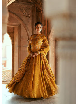 ISHA GUPTA TAYAL - Gold Sitara Anarkali Gown and Dupatta