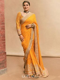 Gopi Vaid - Raveena Tandon in Dilruba Saree with Stitched Blouse