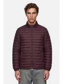 Purple color option, Currently selected