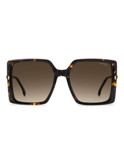 CARRERA - Brown Lens Square Havana Full-Rim UV Protection Sunglasses (57)