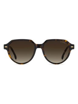 CARRERA - Brown Lens Round Havana Full-Rim UV Protection Sunglasses (53)
