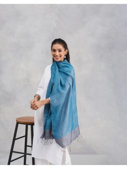 Fabindia - Blue Silk Reversible Stole